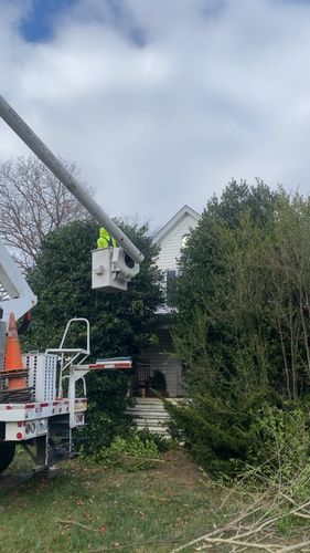 All Photos for Gray's Tree Service Inc in Maurertown, VA