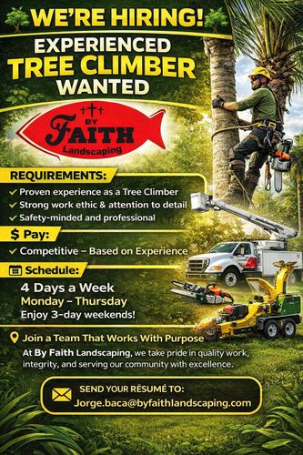 Tree Pruning for By Faith Landscaping in Sierra Vista, AZ