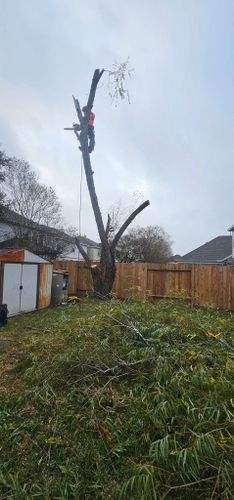  for Servin's Tree Care  in Houston, TX