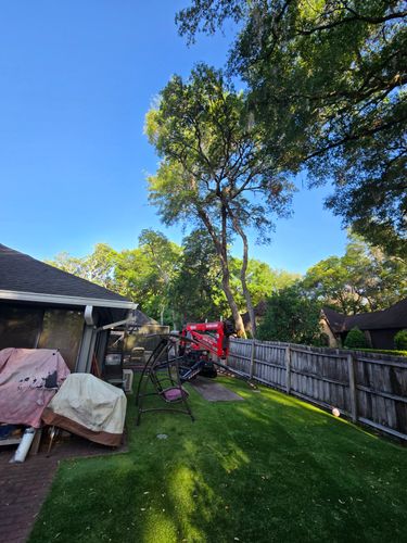 Tree Trimming for Near Me Tree Service, Inc. in DeLand, FL