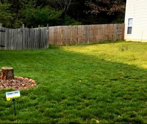  for Green Pro Lawn Care in Greensboro, NC