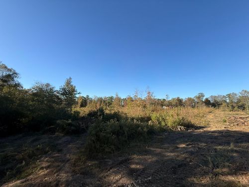 Land Clearing for Mud Creek Vegetation Management in Russellville, AL