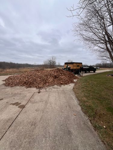 Tree & Shrub Care for Finest Lawn N Landscape in Springfield, IL