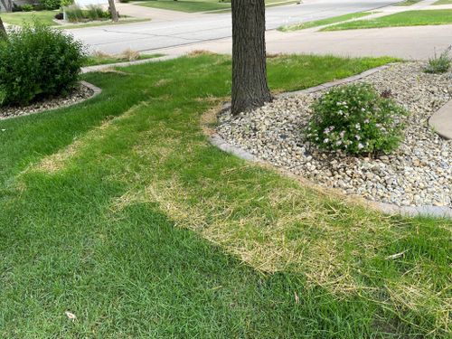 Grass, Sod, and Hydroseed Installations for Second Nature Landscaping in Lake City, Minnesota