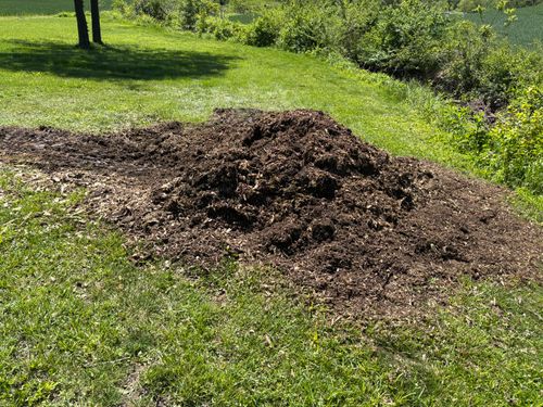 Stump Removal for Conrad's Stump Removal in Columbus, IN