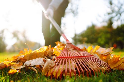 Fall and Spring Clean Up for Grass Is Greener Lawn Care in Nashua, NH