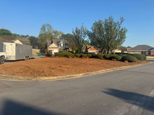 All Photos for Myles Mows in Augusta, GA