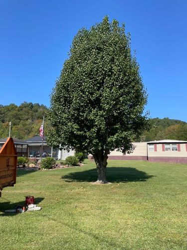 All Photos for Atwood’s Tree Care in Liberty,  KY