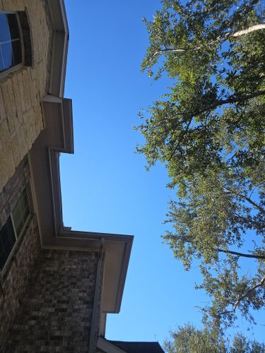  for Servin's Tree Care  in Houston, TX