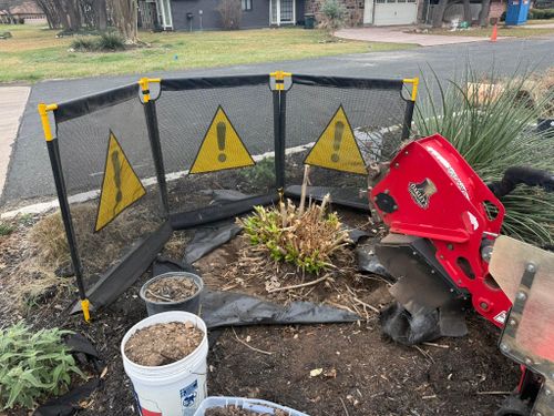 Tree Stump Grinding for Oakley’s Stump ‘N Grind in Leander, TX