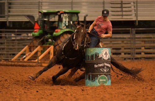  for Florida Native Equestrian Development in Central Florida, FL