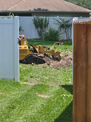 Stump Removal for Near Me Tree Service, Inc. in DeLand, FL