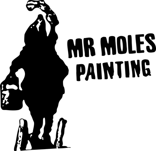 Exterior Painting for Mr. Mole's Painting in Bemidji, MN