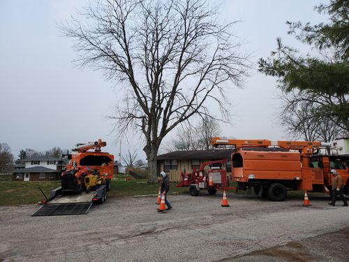 All Photos for Carpenter's Tree Service in Aurora, IN