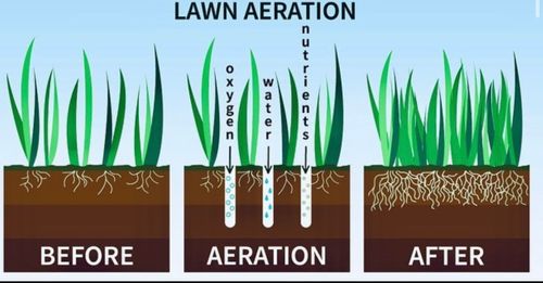 Core Lawn Aeration/Seeding for Nate's Property Maintenance LLC  in Lusby, MD