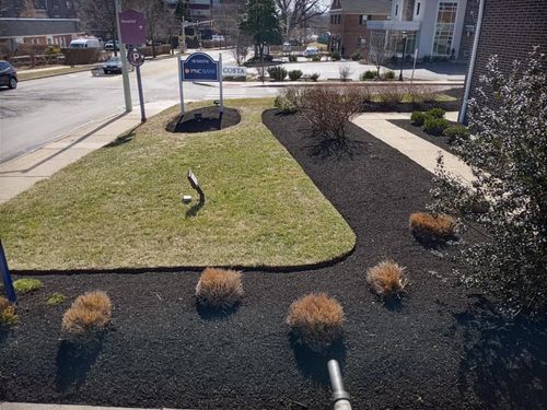 Shrub Trimming for GM Landscaping  Construction LLC in Philadelphia, Pennsylvania