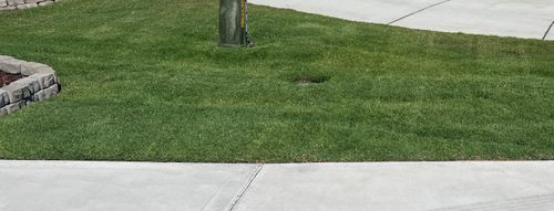  for Everett Lawn Care in Raleigh, NC