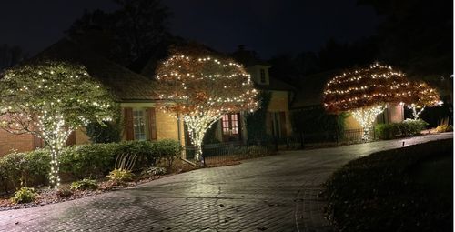 Light Installation for Christmas Light Installers in Indianapolis, IN