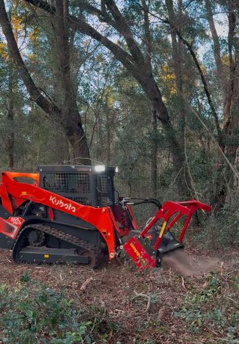  for Family Roots Landworks and Debris Removal in Newberry, FL