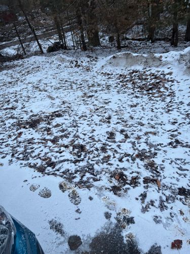 All Photos for Poop Pals NH in Gilford, NH