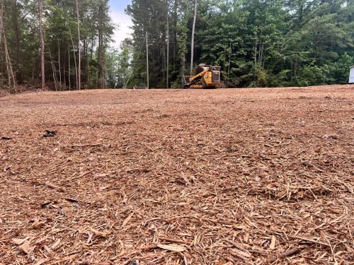 Forestry Mulching for Conway Land Management in Chatom, AL
