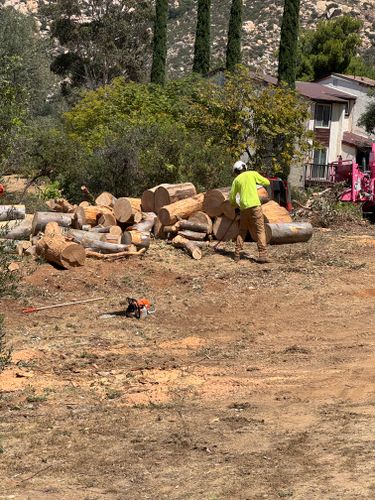 Tree Services for The Tree Fairy in Julian, CA