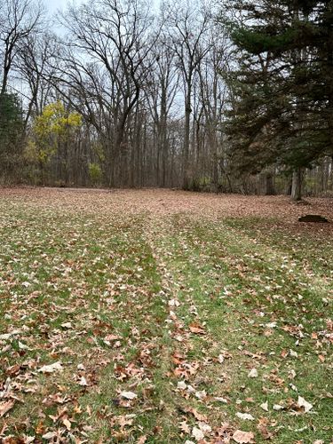 Fall Clean Up for Sargent's Lawn and Property Maintenance LLC in Lambertville, MI