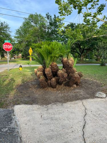  for Landscaping Pros in Hurley, MS