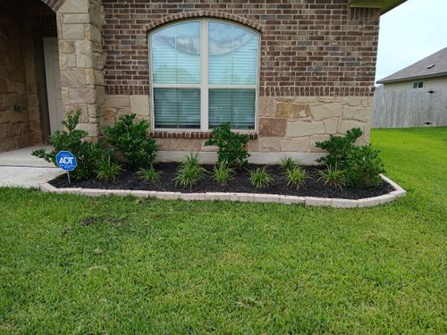 Mulching  for Aguilar Lawn Services in Bryan, TX