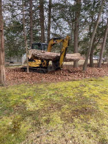 All Photos for Davis Services LLC in Bethany, CT