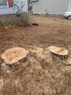 All Photos for Tucker's Tree Service and Stump Grinding in Lugoff, SC