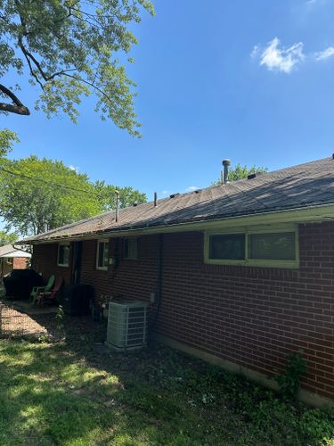 All Photos for Pro Tree Trim & Removal, Llc in Dayton, OH