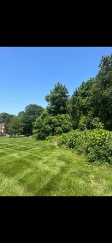 Shrub Trimming for Pleasant Valley Land Management  in Westminster, MD