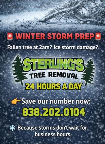  for Sterlings Tree Removal in Cobleskill, New York