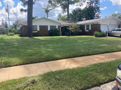 All Photos for Impressive Lawns 321 LLC in Titusville, FL