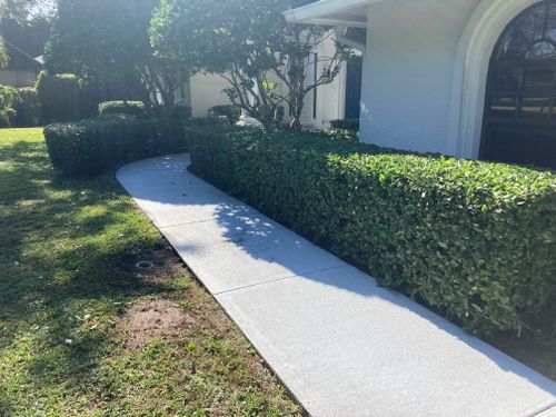 All Photos for Impressive Lawns 321 LLC in Titusville, FL