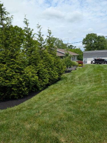 Privacy Plantings for Ettere Landscape Services in Flemington, NJ