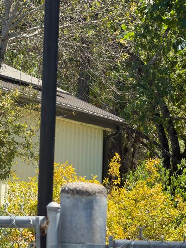  for Ridgeline Gutters in Grants Pass, OR