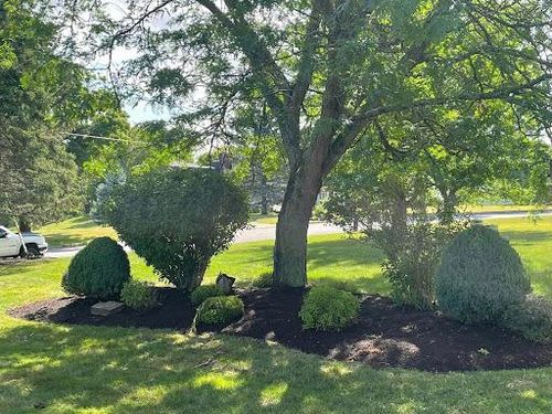  for Puleo Landscape LLC in Canastota , NY