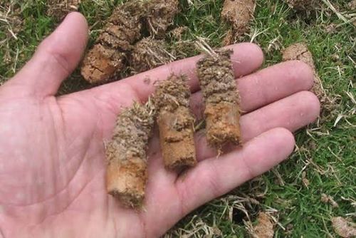  for Trueman Landscaping in Wexford, PA