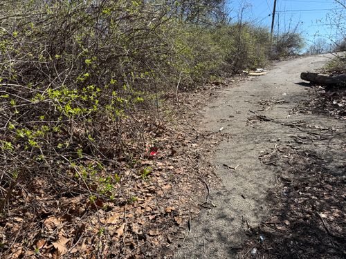  for A1 Bush Hogging & Lawn Service in Columbus, OH