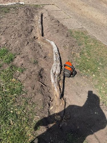 Tree Stump Grinding for Oakley’s Stump ‘N Grind in Leander, TX
