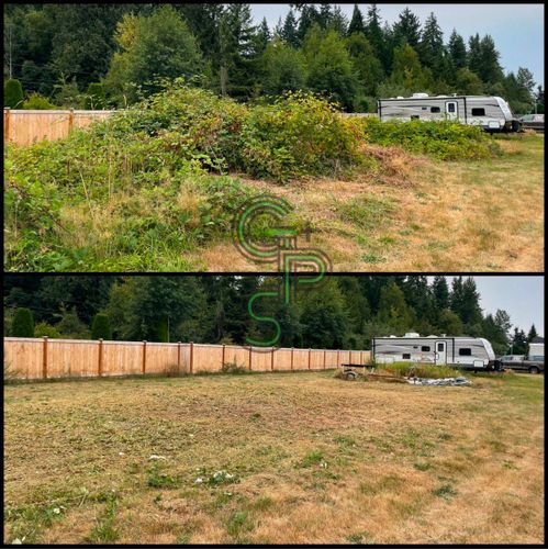 Brush Clearing - Bramble Clearing - Blackberry Clearing for Golovin Property Services LLC in Marysville, WA