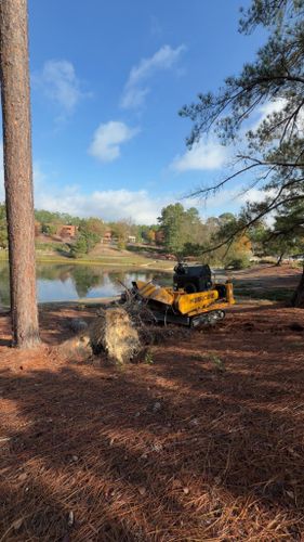 Stump Excavation for Dozier Stump Grinding in Augusta, GA