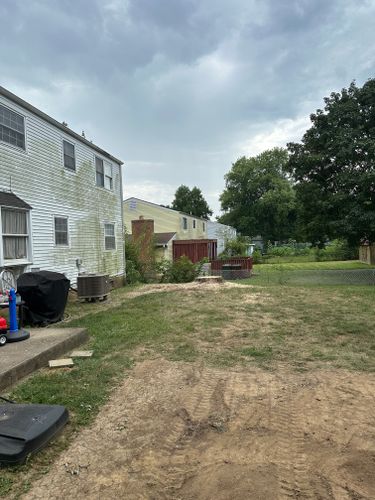 All Photos for Pro Tree Trim & Removal, Llc in Dayton, OH