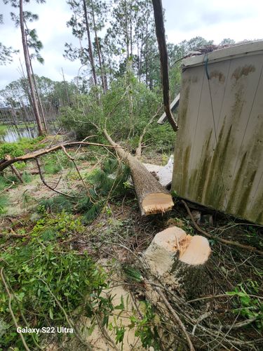 All Photos for Highlife Tree Care And Landscaping in Altamonte Springs, FL