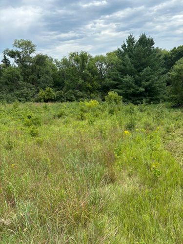  for Root Land Management in Watkins, MN