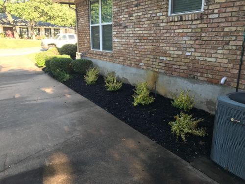 Mulch Installation for Tree Valley Landscaping in Dallas, TX