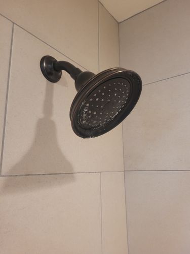 Sink Faucet, Shower Head, Toilet Replacement for Silver Service Pros in Riverton, UT