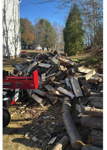 Stump Removal for Jills Stump Grinding and Firewood in Shelton, CT